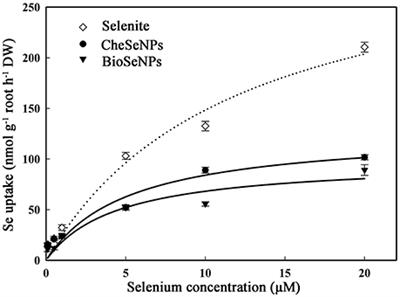 Absorption and Bio-Transformation of Selenium Nanoparticles by Wheat Seedlings (Triticum aestivum L.)